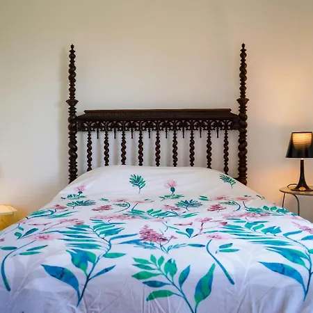 בית נופש Avo Bolachas House